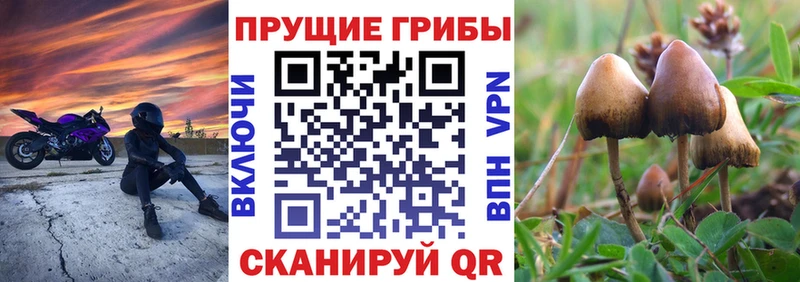 Галлюциногенные грибы мицелий  дарнет шоп  Домодедово 