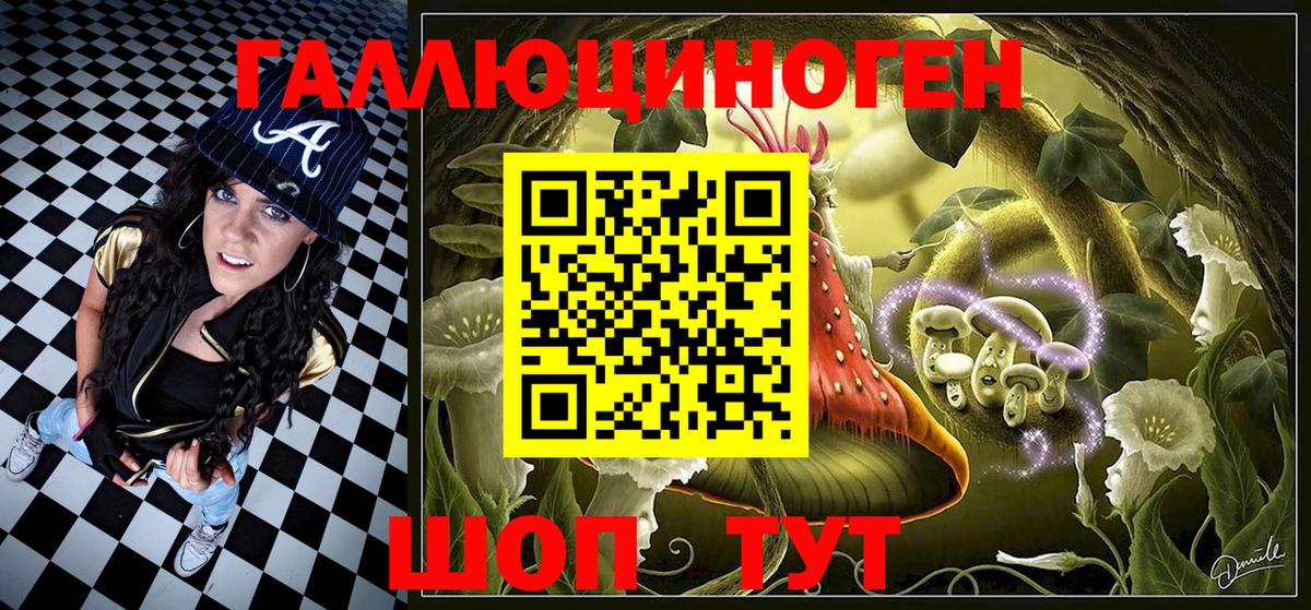 Домодедово  Псилоцибиновые грибы Psilocybe  Вход с VPN 