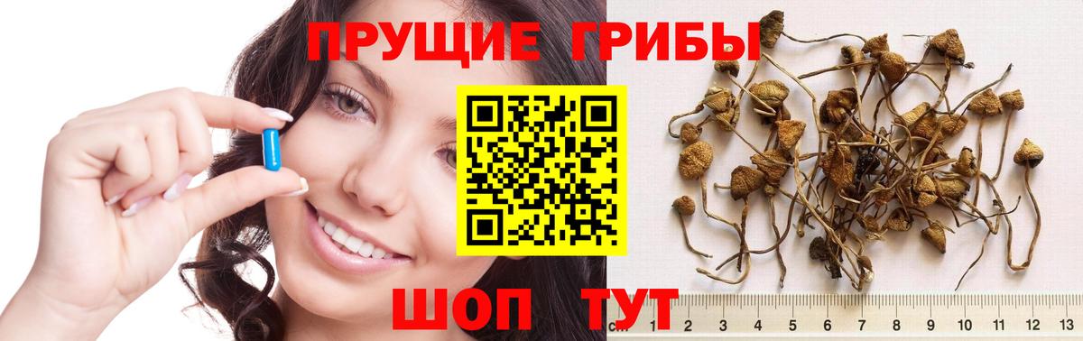 Галлюциногенные грибы MAGIC MUSHROOMS Домодедово